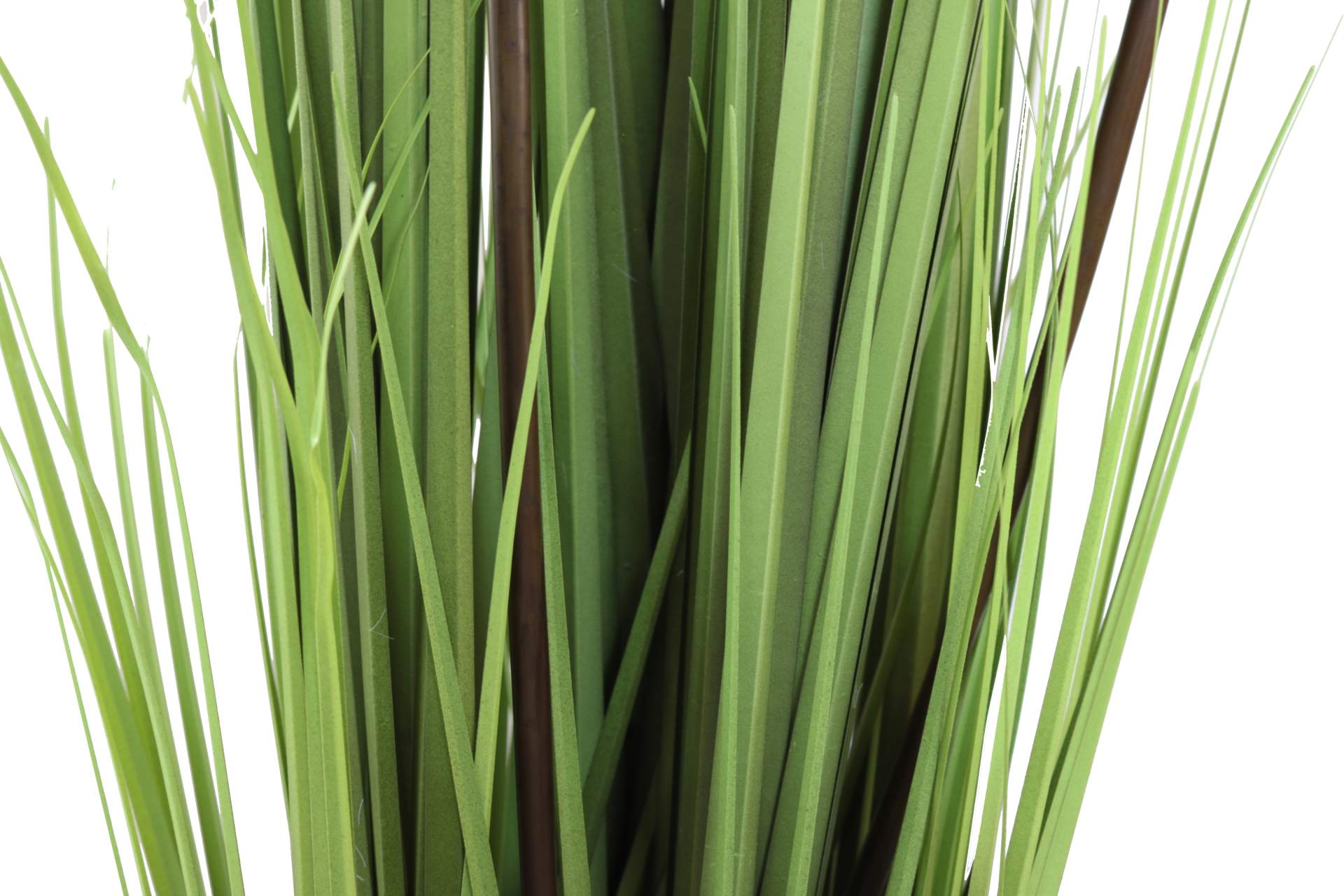 Deko Dekoration mit Wohnen Übertopf Onlineshop Pflanze Pampasgras | Artlands | Höhe cm 75 Dekoration | | Kunstpflanze